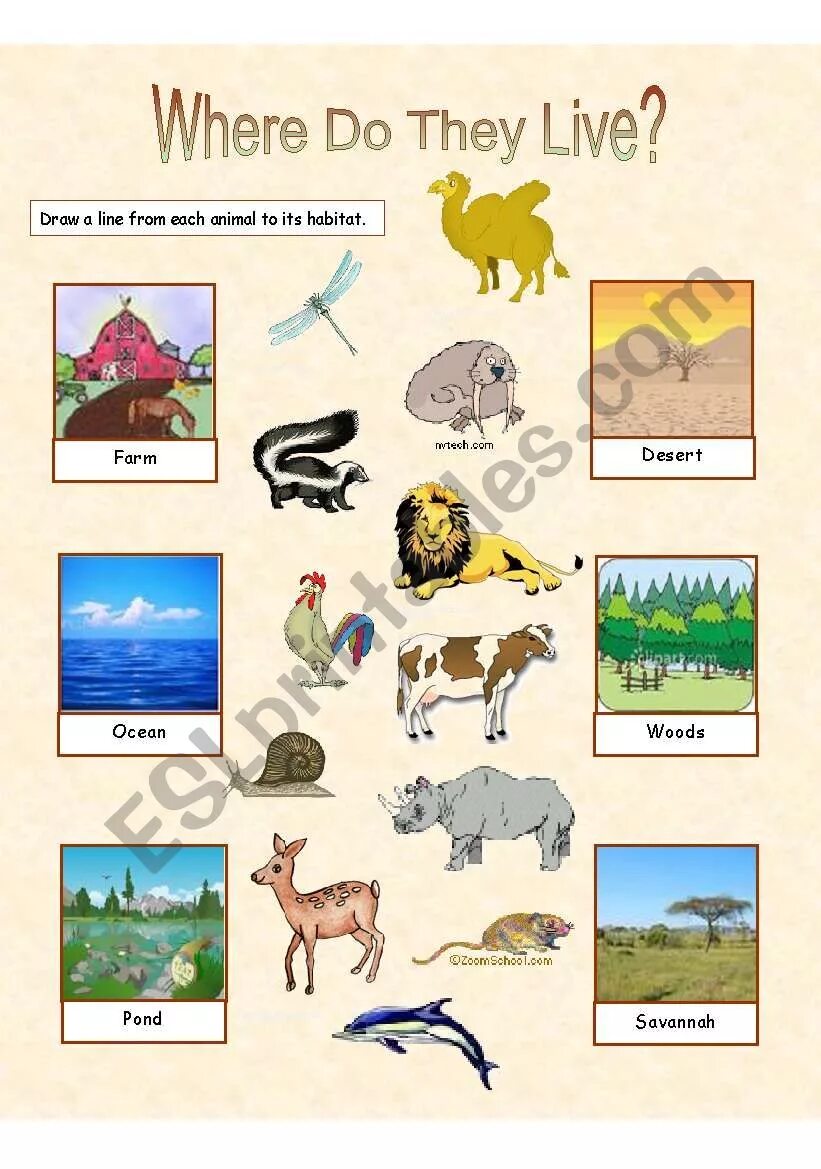 We should animals habitats. Habitats на английском. Animal Habitat for Kids. Animals and their Habitats. Animals and their Habitats Worksheets.