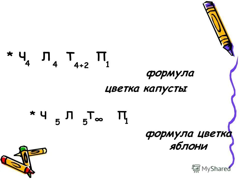 Формула ч л т п. Формула цветка. Формула цветка яблони. Формула цветка капустных. Формула цветка капусты 6 класс.