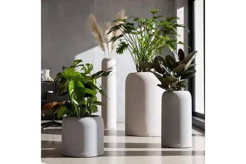 Plant series