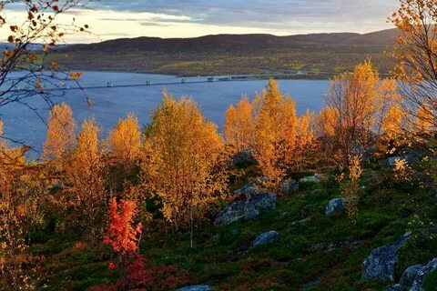 Пейзажи мурманский