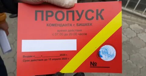 На какой срок выдается пропуск