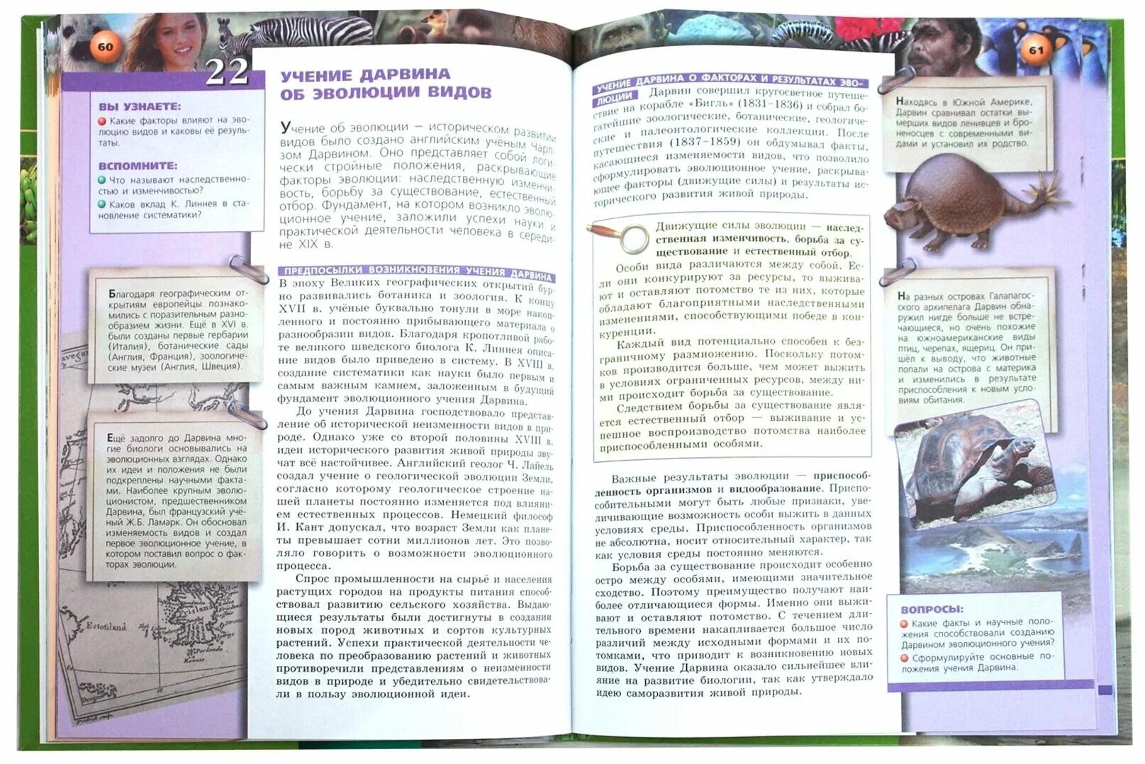 система "живая осанка". 9 класс. варновая система славяно-русов. 9 класс". живой мир 4d, спектор а.