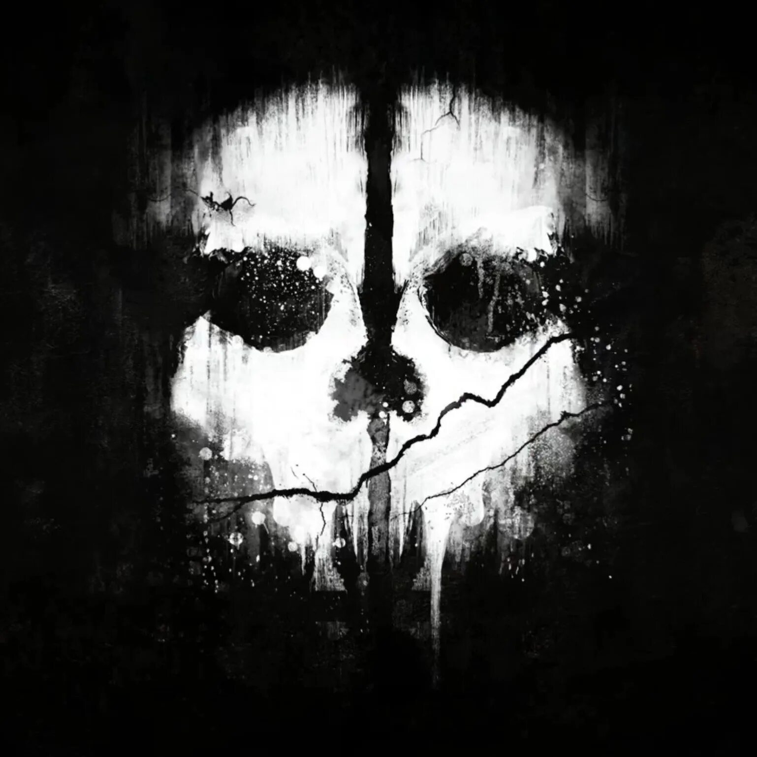 Гоуст phonk. Гоуст из call of duty 2022. Привидение (призрак) (ghost) 1990. Гоуст call of duty. Ghost call of duty modern warfare 2.