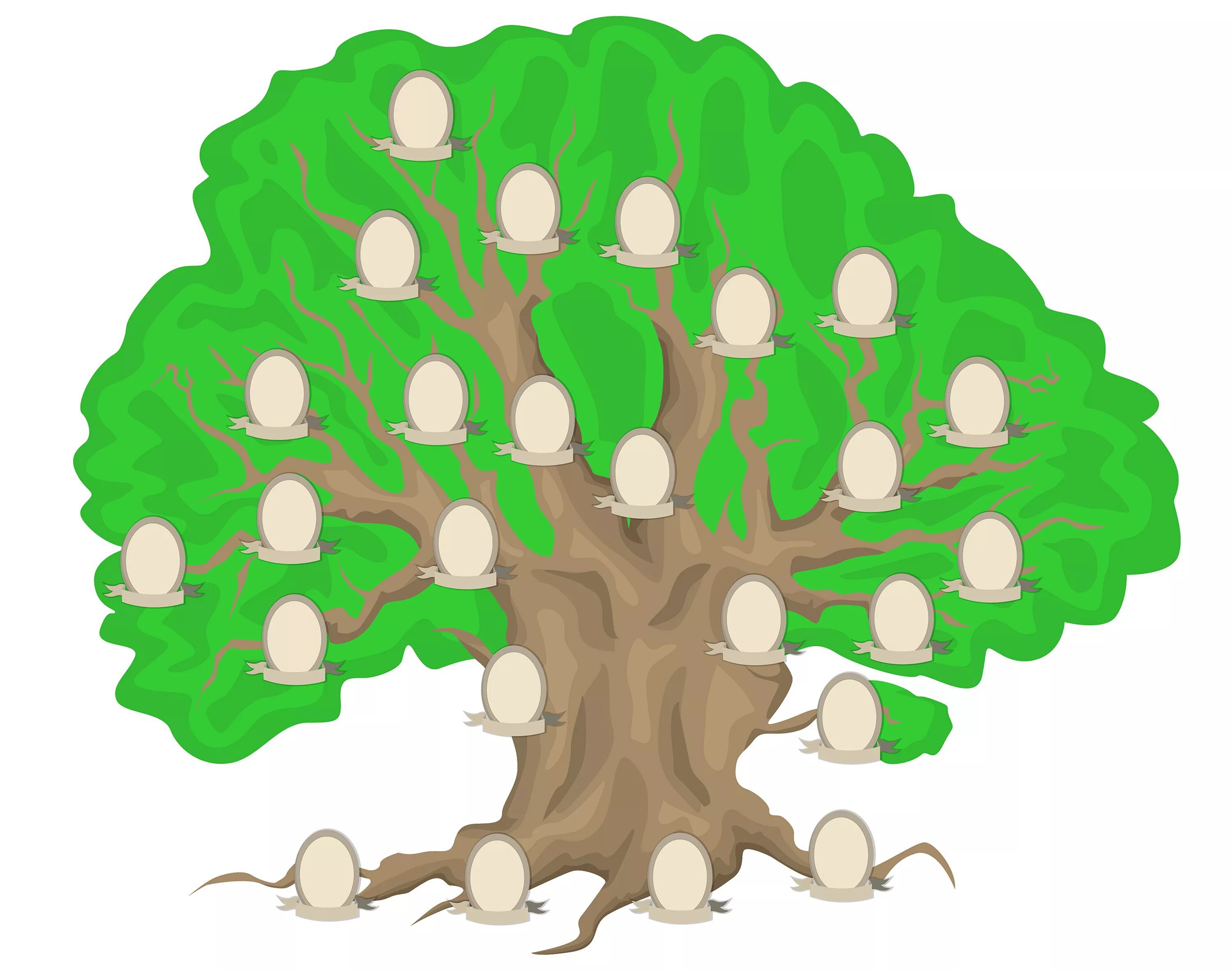 Что такое родословное древо. Шежере родословная. Генеалогическое Древо Family Tree. Фэмили Древо Фэмили генеалогическое. Дерево для генеалогического древа.