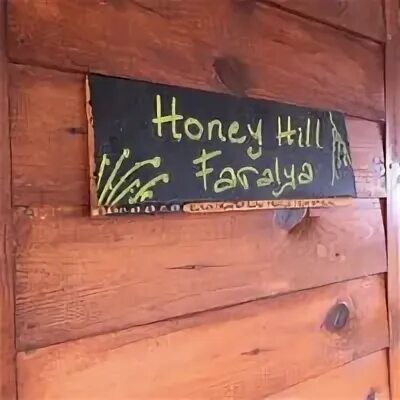 Honey hill kash