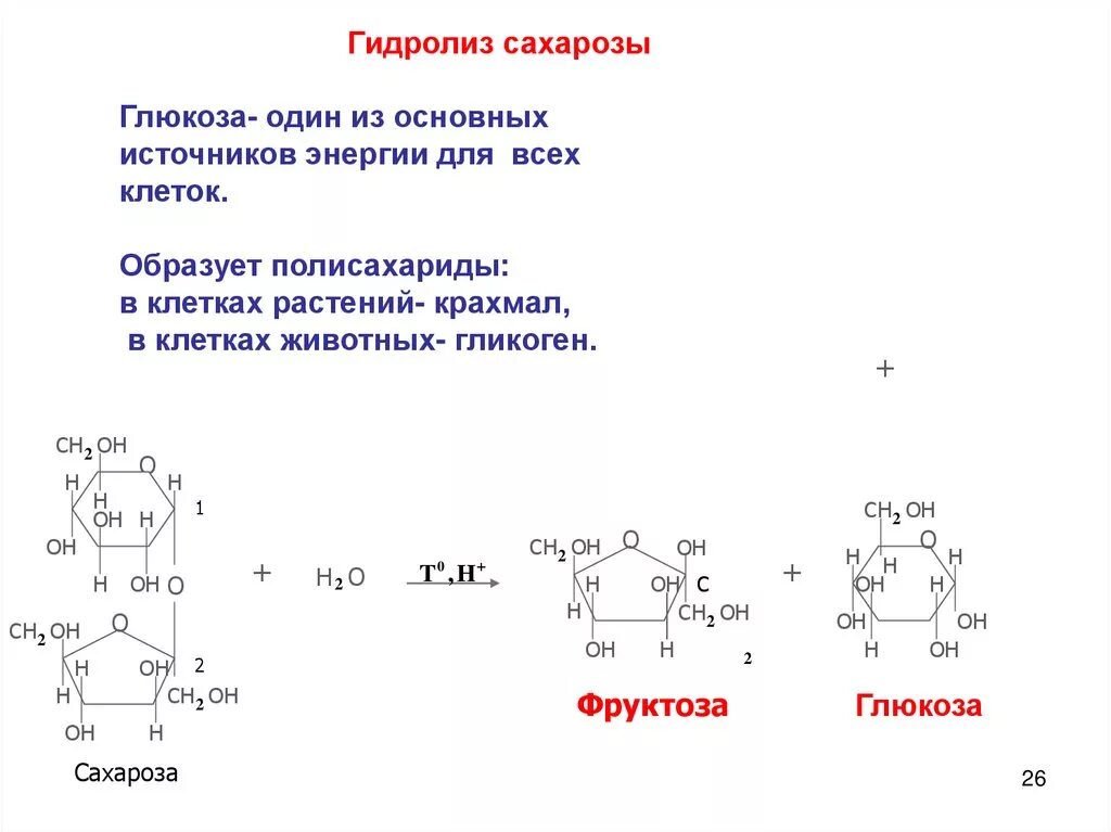 Растение гидролиз. Схема реакции гидролиза сахарозы. Схема гидролиза полисахаридов. Схема реакций гидролиза полисахаридов. Гидролиз сахарозы уравнение реакции.