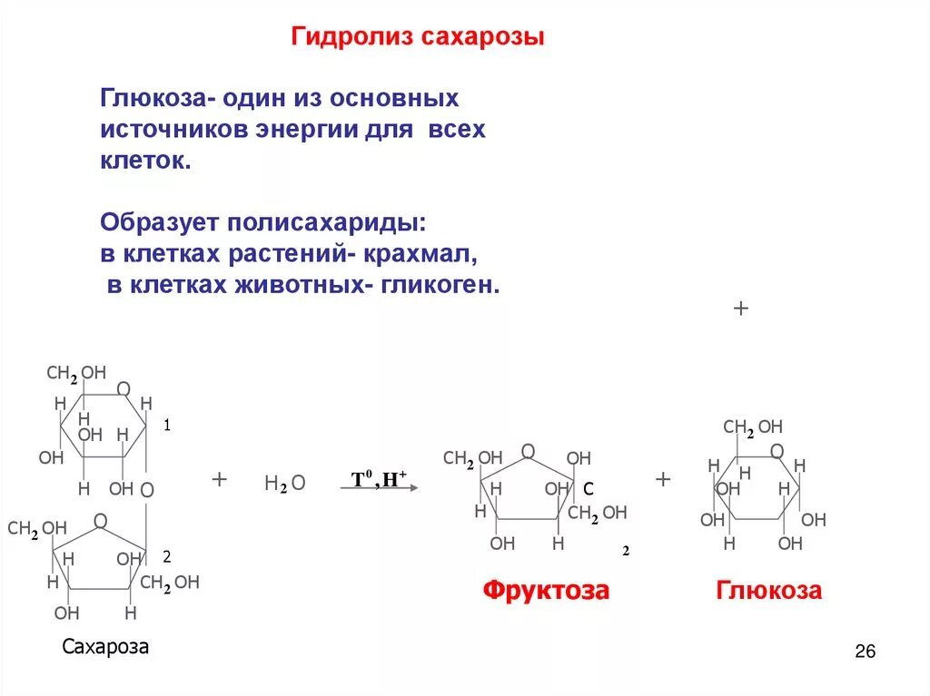 Глюкоза вступает в гидролиз. Схема реакции гидролиза сахарозы. Схема гидролиза полисахаридов. Схема реакций гидролиза полисахаридов. Гидролиз сахарозы уравнение реакции.