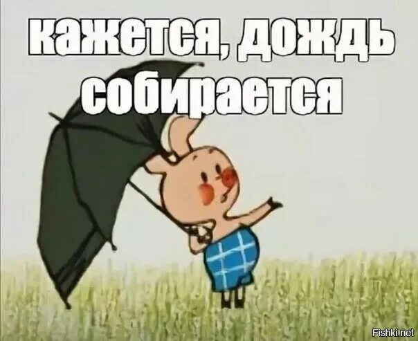 Может быть еще встретимся когда пойдет дождь. Кажется дождь собирается. пятачок кажется дождь начинается. пятачок с зонтиком кажется дождь собирается. винни пух кажется дождь собирается.