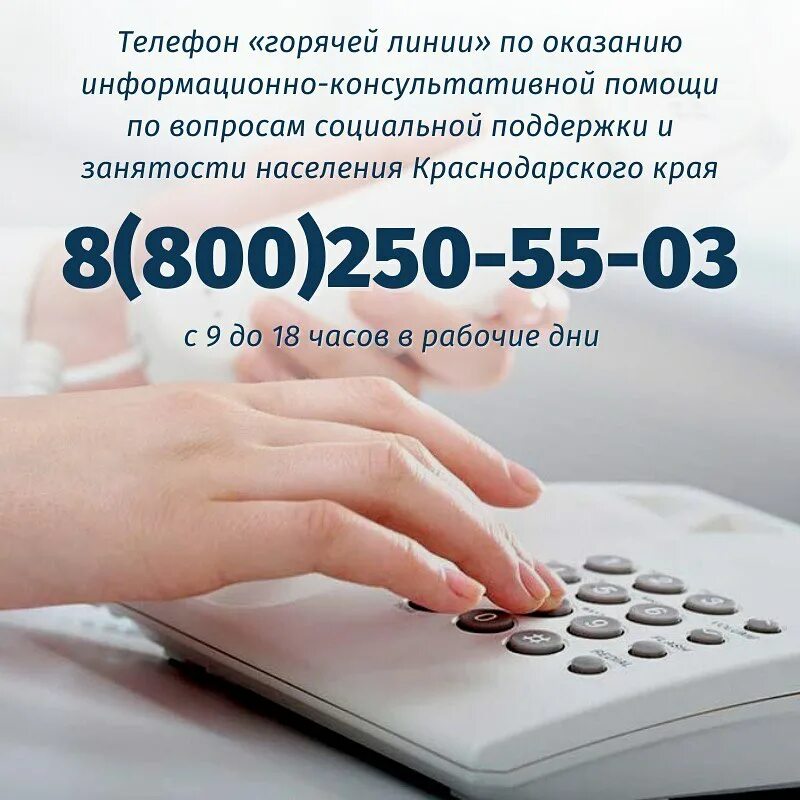 горячая линия по социальным вопросам. телефонигорячей линии. горячие линии. номер телефона горячей линии. горячая линия соцзащиты по области.