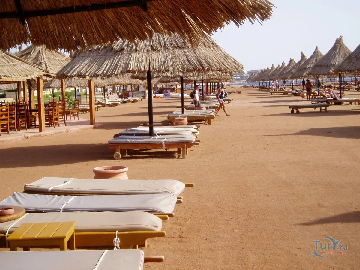 Отель Шератон Шарм Резорт Шарм-Эль-Шейх. Sheraton Sharm Resort Villas & Spa 5*. Sheraton Sharm main building 5 Шарм-Эль-Шейх.