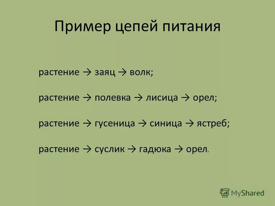 Цепь питания 9 класс