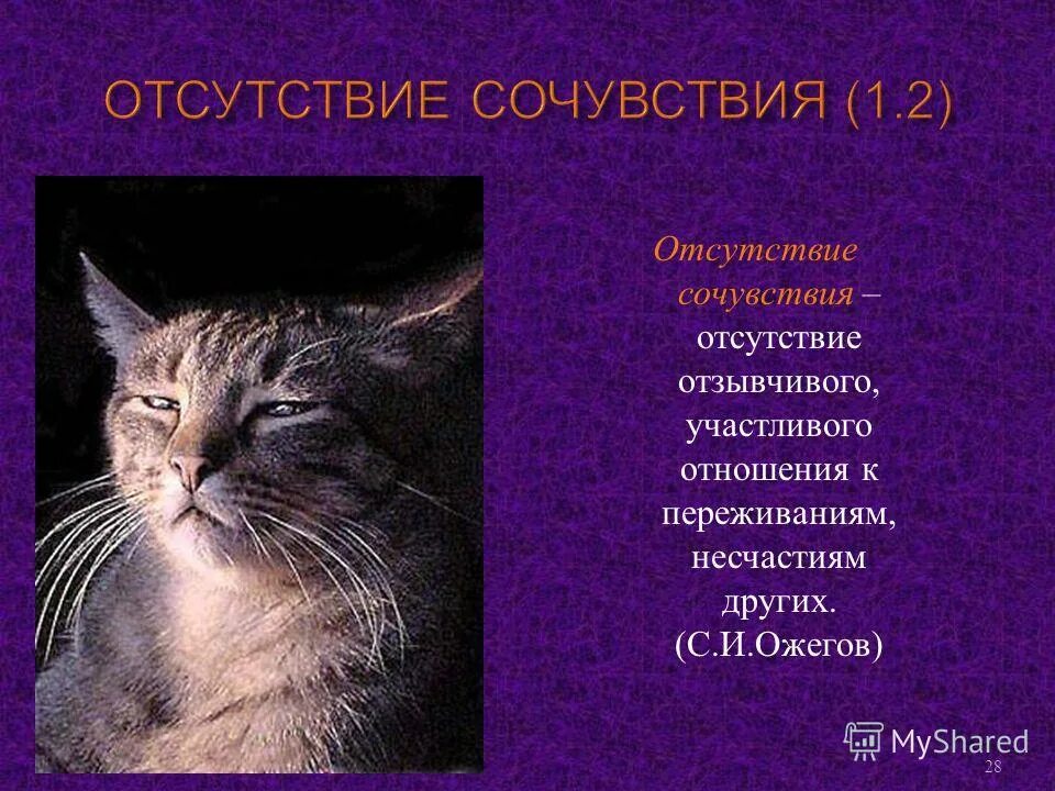 Плохо сочувствую. Плохо сочувствую