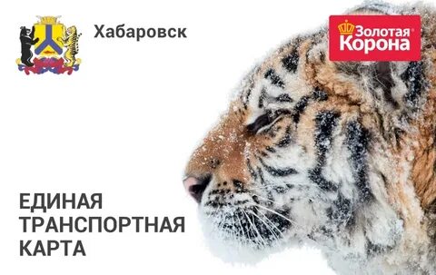 Золотая корона хабаровск
