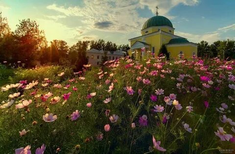 Сад нижегородская область