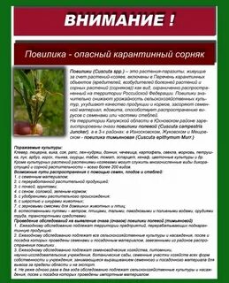 Меры борьбы с сорными растениями
