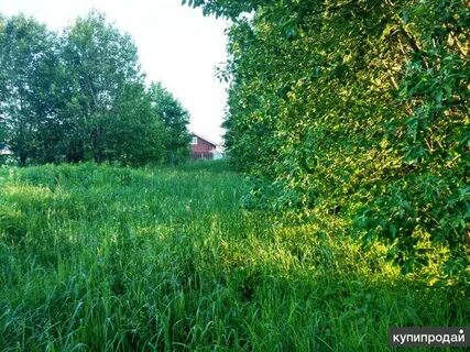 Никольское дмитровский