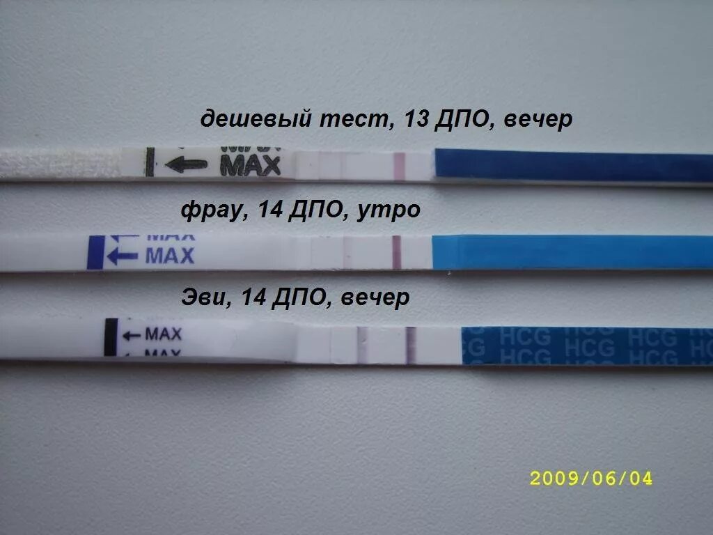 На 14 ДПО тест на беременность отрицательный. 14 ДПО тест слабоположительный. Тест на беременность на 14 день после овуляции. 14 ДПО фраутест на беременность. Заболела после овуляции