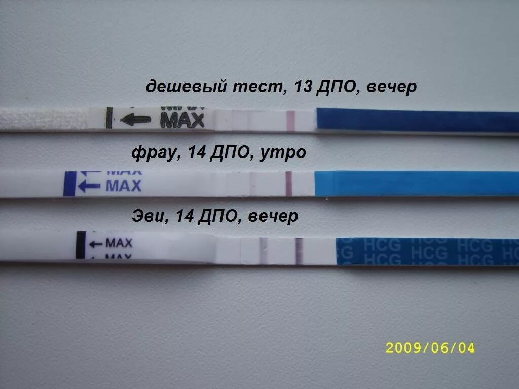 На 14 ДПО тест на беременность отрицательный. 14 ДПО тест слабоположительный. Тест на беременность на 14 день после овуляции. 14 ДПО фраутест на беременность. Тест на беременность после овуляции форум