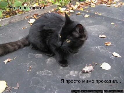 Просто мимо прошла