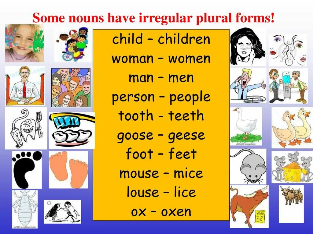 Irregular plurals in English. Plural Nouns исключения. Irregular plurals Rule.