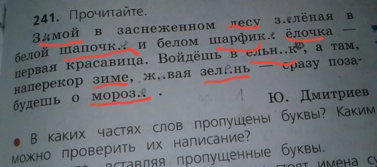 Падеж слова морозный. Падеж слова зимний лес. Зимой в заснеженном лесу падеж слова зимой. Падеж слова зелень. Слово красавица разобрать по падежам.