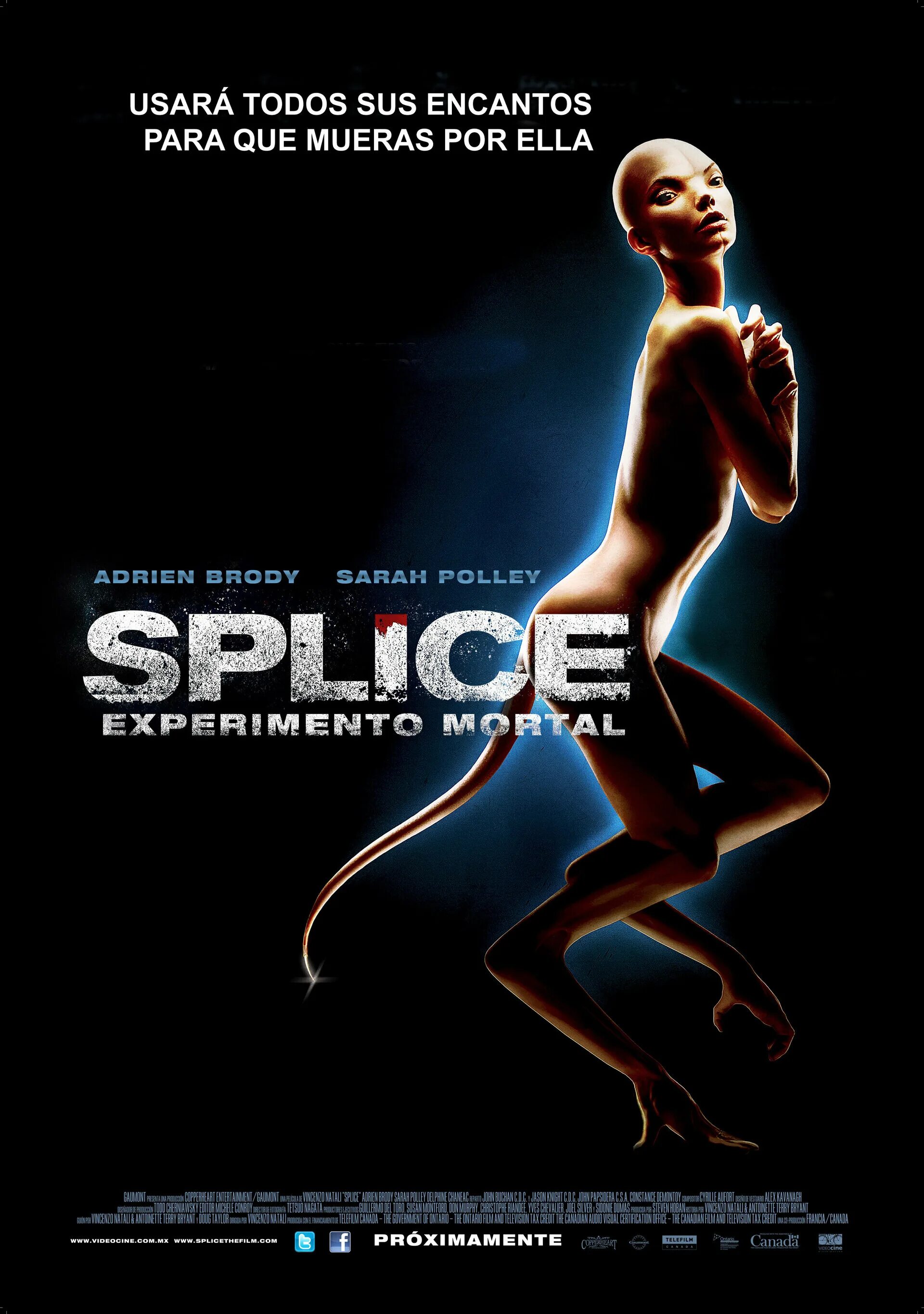 и сценарист митци пейроне). химера фильм 2009 джинджер и фред. химера афиша. химера афиша. химера (винченцо натали, 2009).