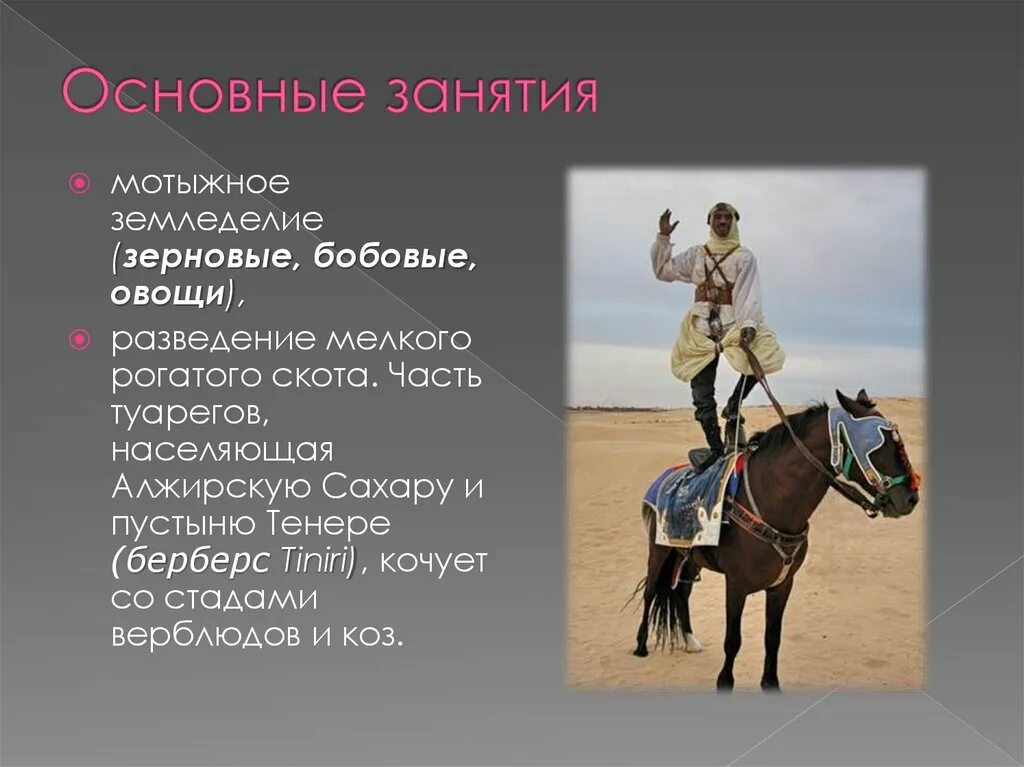 Какие были основные занятия. Основные занятия. презентация про туарегов. народы и их занятия. основные занятия сша.