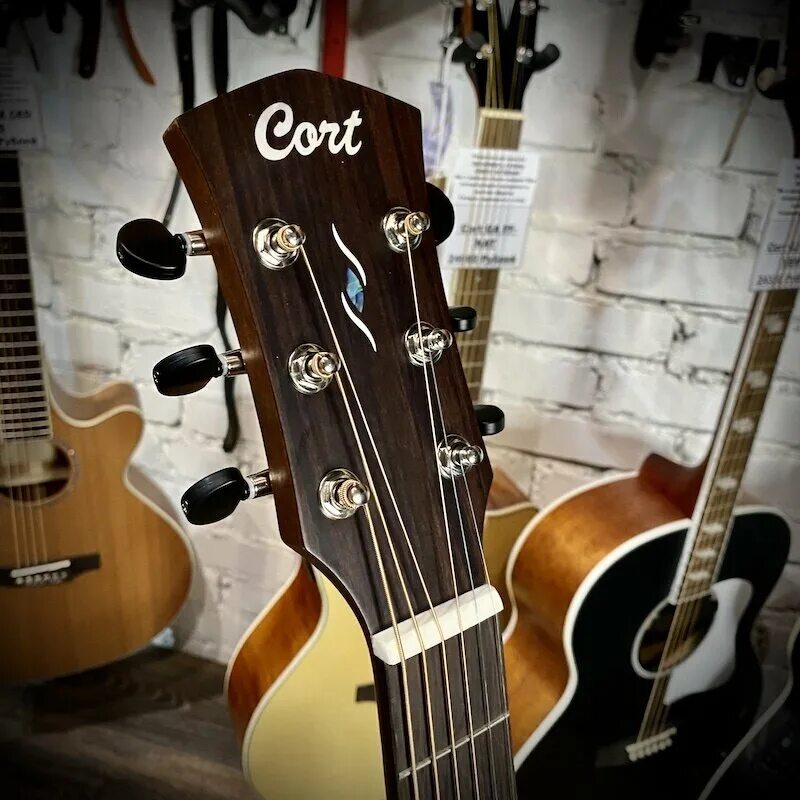 Cort-oc-amh-opb. Oc core. Cort core dc amh oppb. Oc core. Oc core.