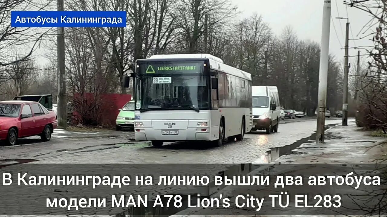 Автобус 477 виллози красное. Автобусы Калининград. 477 Автобус. Man a78 Lion's City Tü el283. Маршрутка 583к.