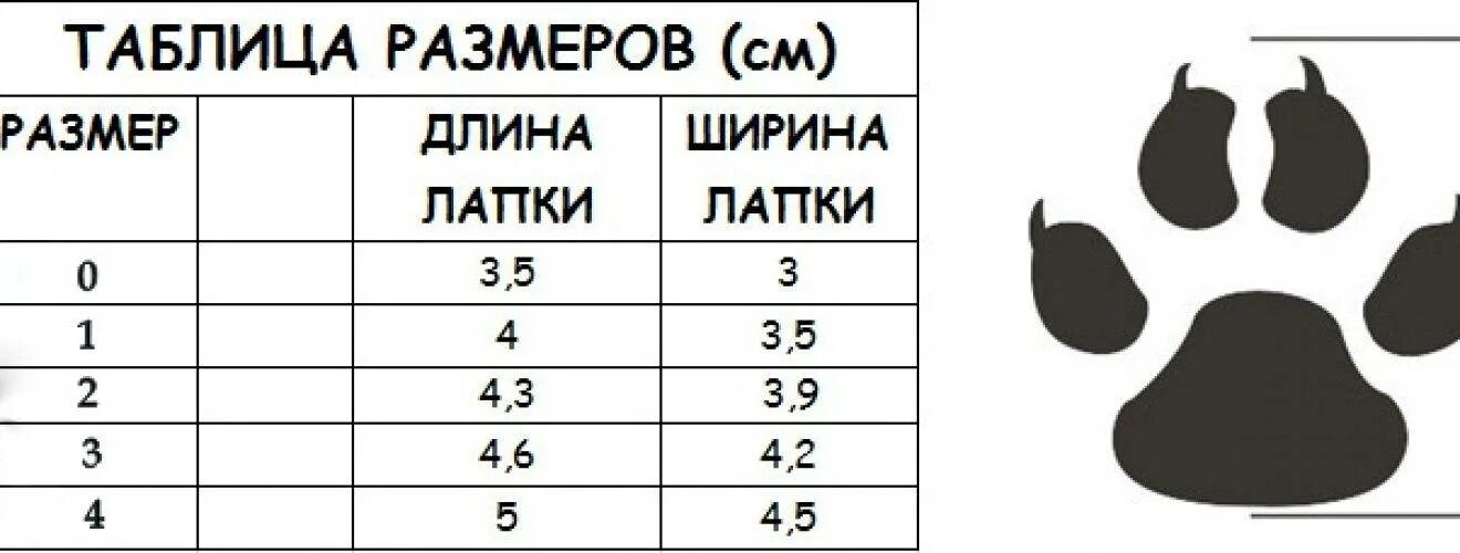 Как узнать размер лапы у собаки. Как измерить размер лапы у собаки. Как определить размер лапки у собаки. Таблица размеров обуви для собак мелких пород. Как понять лапки