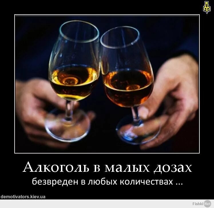 Выпьем за здоровье. Выпьем за здоровье. Выпью за твое здоровье. Выпей за здоровье. Выпьем за здоровье прикол.