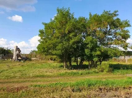 Село подгорное саратовская область