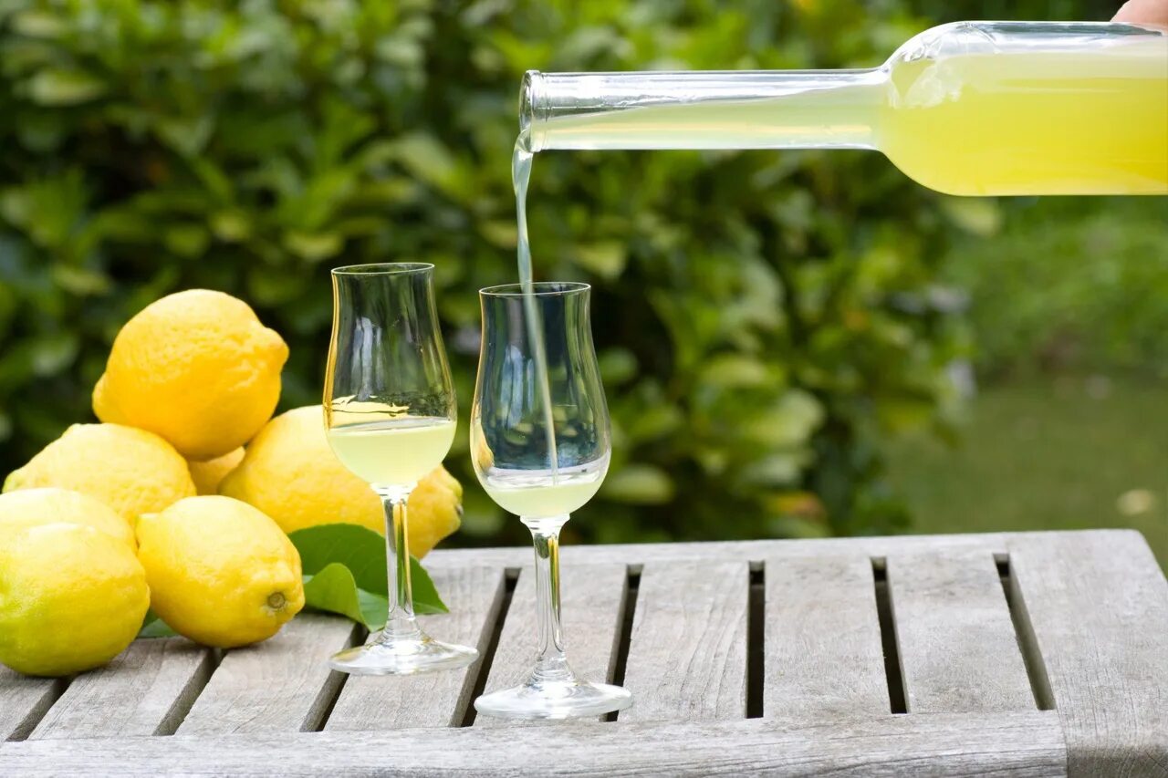 Как приготовить лимончелло в домашних. Лимончелло итальянские ликёры. Лимонный ликер Лимончелло. Лимонный ликёр Limoncello. Лимоны для Лимончелло.