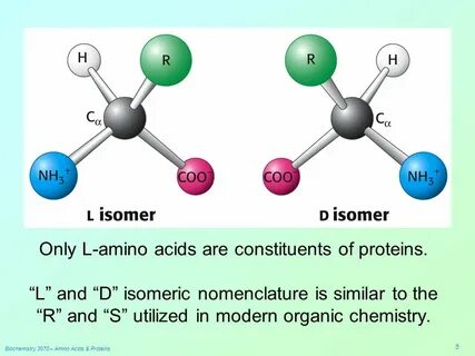 L acid