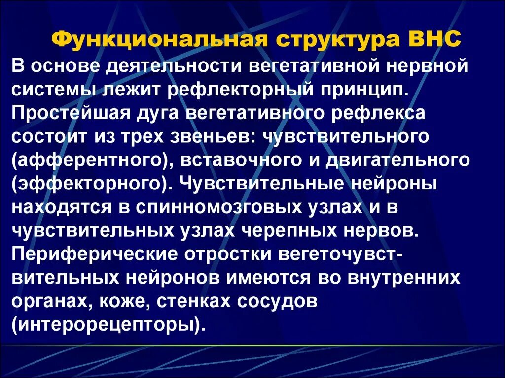 Функциональная структура автономной нервной системы. Особенности строения ВНС. Функциональные особенности ВНС. Структурно-функциональные особенности вегетативной нервной системы.