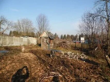 Погода в покровское рузская область