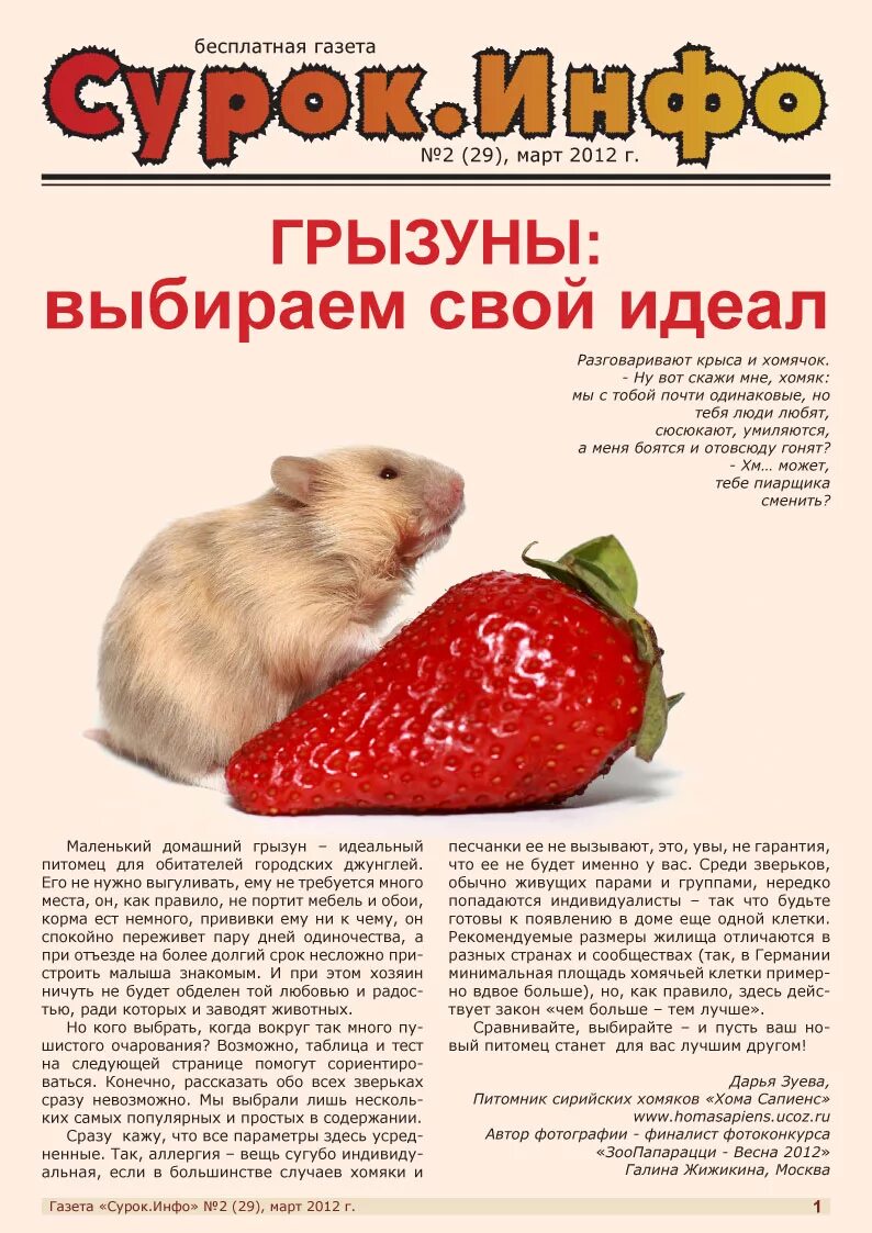 Статью о животных. Газета про домашних животных. газета про животных. статья про домашних питомцев. газета о домашних животных рубрики.