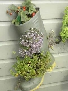 Вместо кашпо