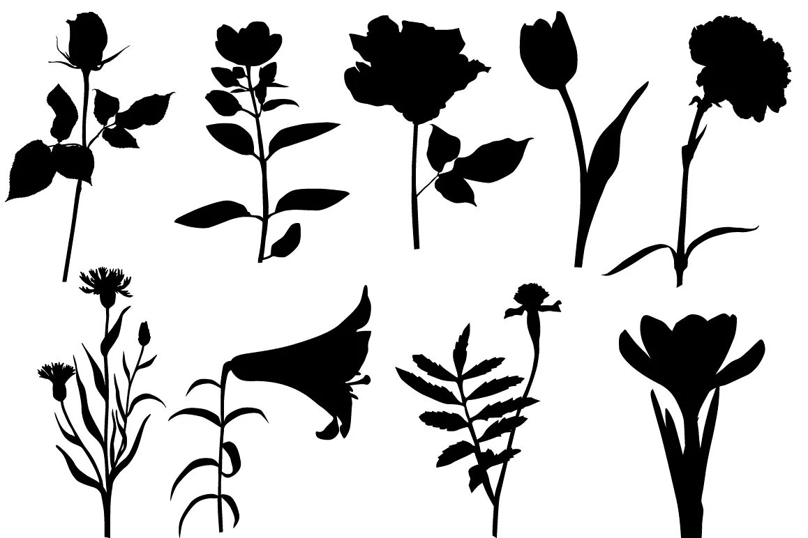 Силуэт растительности. Шалфей силуэт. Силуэты растений на прозрачном фоне. Трава силуэт. Трава силуэт.