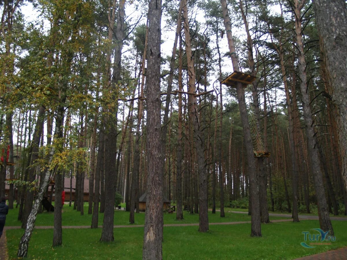 Серпухов веревочный парк дракино. Дракино парк-отель. Парк русский дракино. Парк русский дракино. Парк дракино серпухов.
