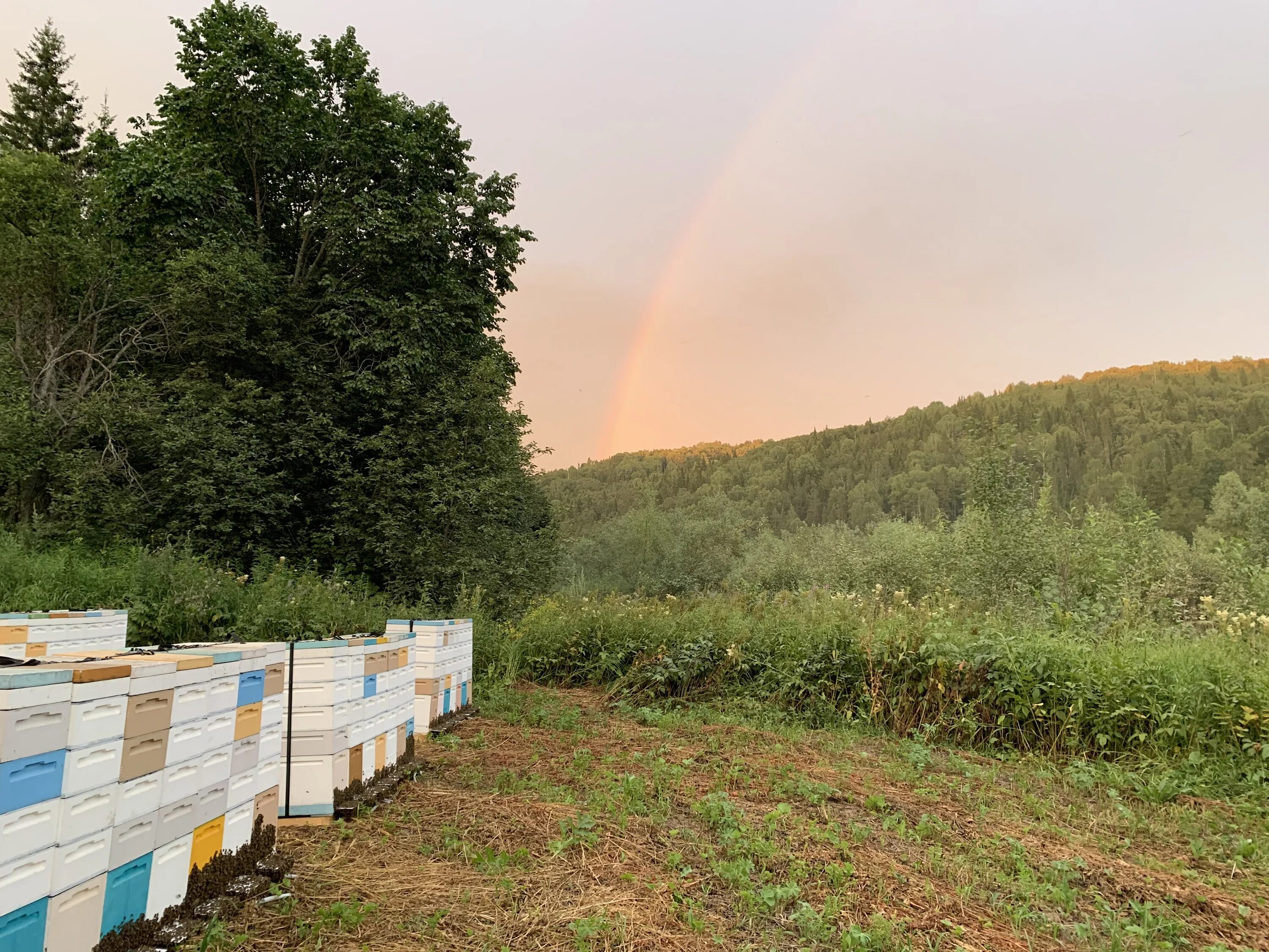 Национальный парк башкирия пасека. Пасека дмитриевых. Пасека дмитриевых. Лагерь карники тульская область. Нуримановский район пасека.