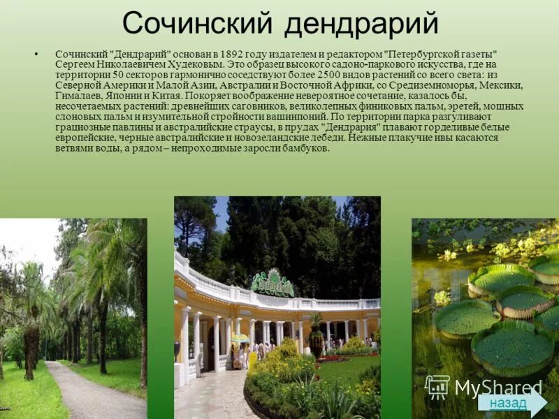 Путеводитель по Сочи - как добраться, где остановиться и что посмотреть