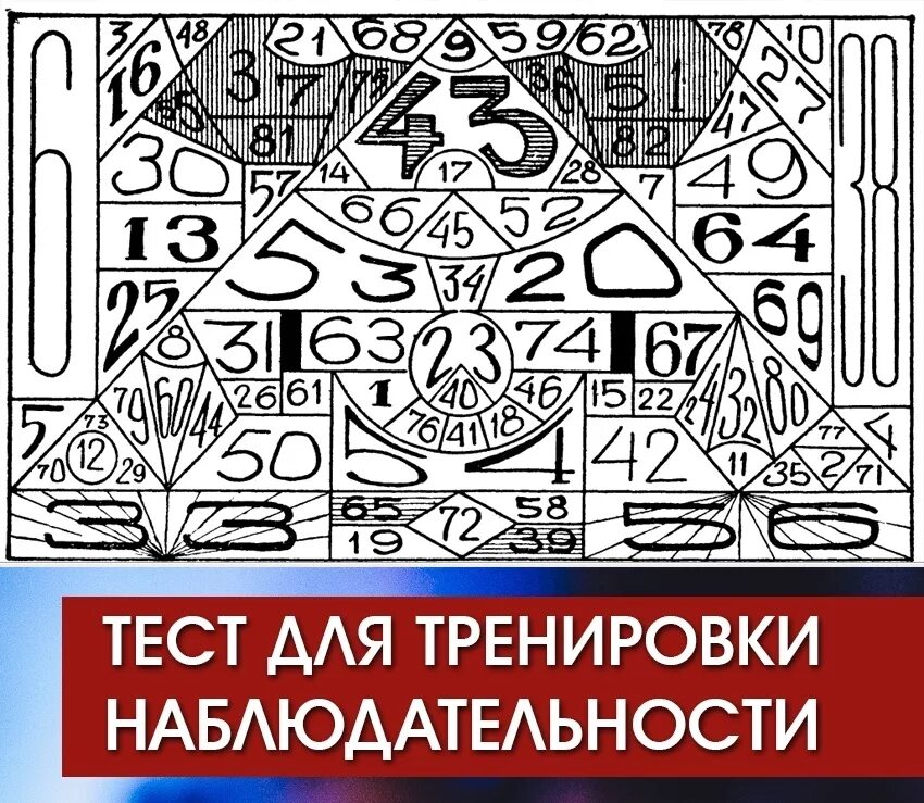 Головоломки на внимание. Тест на внимательность. Тестна внимательность. Тест на внимательность в картинках.