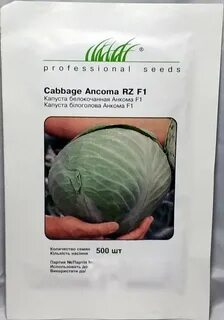 Капуста сорт анкома