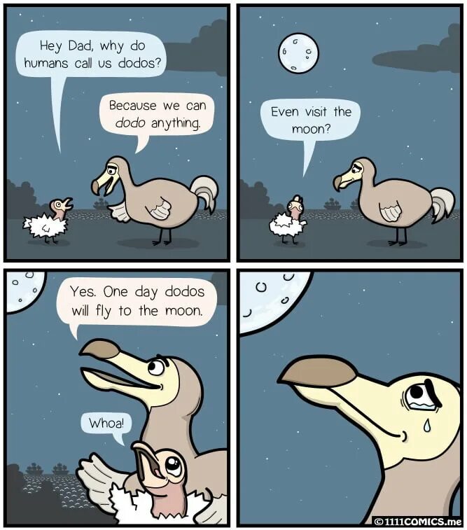 The dodo doesn t anymore