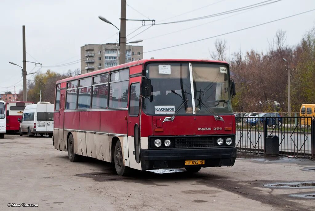 Рязань новомосковск купить. Икарус Касимов. Касимов ПОАТ 3 автобусы. Рязань Касимов автобус. Автобус Рязань Шацк.