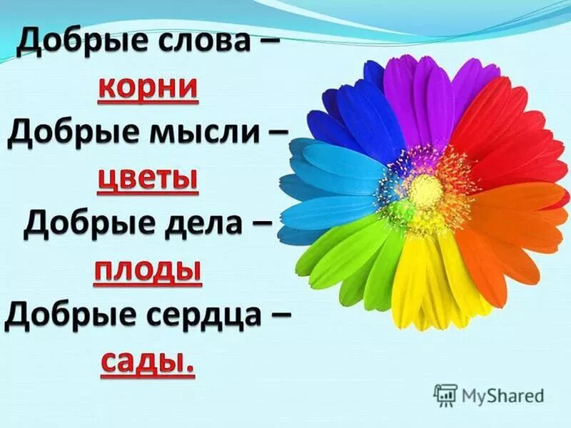 Название добрых слов. Классный час доброта. Девиз дня доброты. Цветок доброты. Урок доброты.