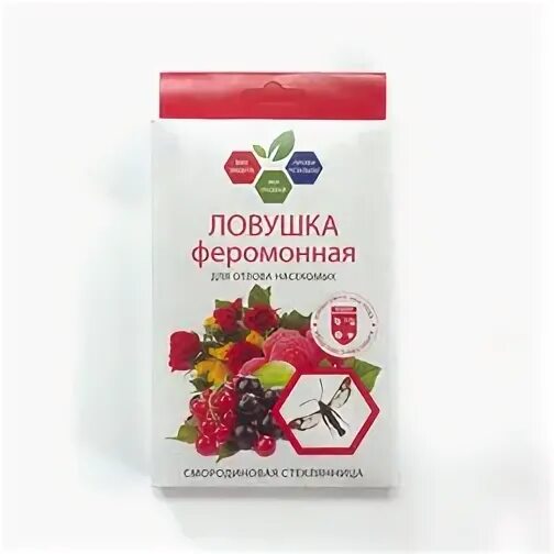 Как бороться со стеклянницей