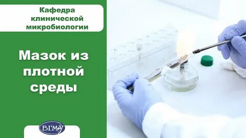 Метод фиксированного мазка