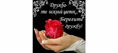 Дружбу не бережешь